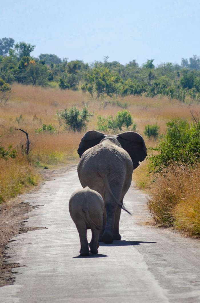 Morning stroll